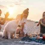 Proteja seu Amigo: Dicas Essenciais para Viajar com Seu Pet Durante o Verão